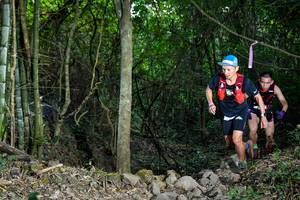 BIB: 
                            <button type="button" onclick="openModal(19437829)" class="btn btn-primary btn-sm float-right btn-popup" data-toggle="modal" data-target=".modal-high-quality">
                        <i class="fas fa-shopping-cart"></i> Add to Cart
                    </button>
                                            <button type="button" onclick="isThisMe(19437829, true)" class="btn btn-success btn-sm float-right btn-popup btn-isme hidden" data-toggle="tooltip" data-placement="bottom" title="นี่คือรูปของคุณใช่ไหม คลิกที่นี่เพื่อเอาเข้าอัลบั้ม">
                        <i class="fas fa-plus"></i> Add to album
                    </button>
                    <button type="button" onclick="isThisMe(19437829, false)" class="btn btn-warning btn-sm float-right btn-popup btn-isnotme hidden">
                        <i class="fas fa-ban"></i> Remove from album
                    </button>